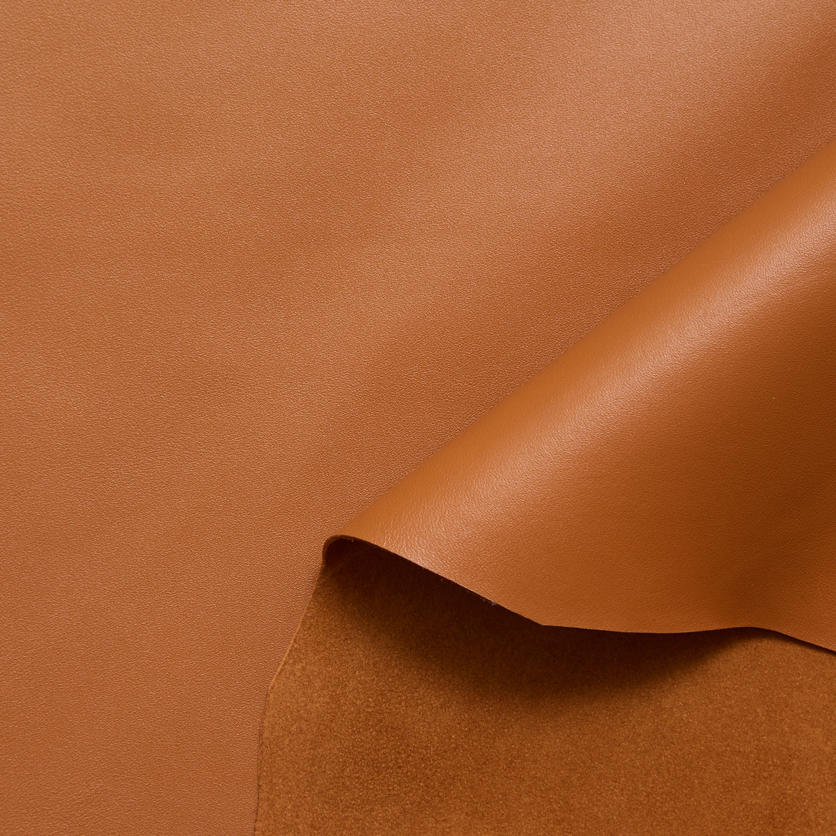 C24A00255 | Agneau Pleine Fleur Satiné Souple