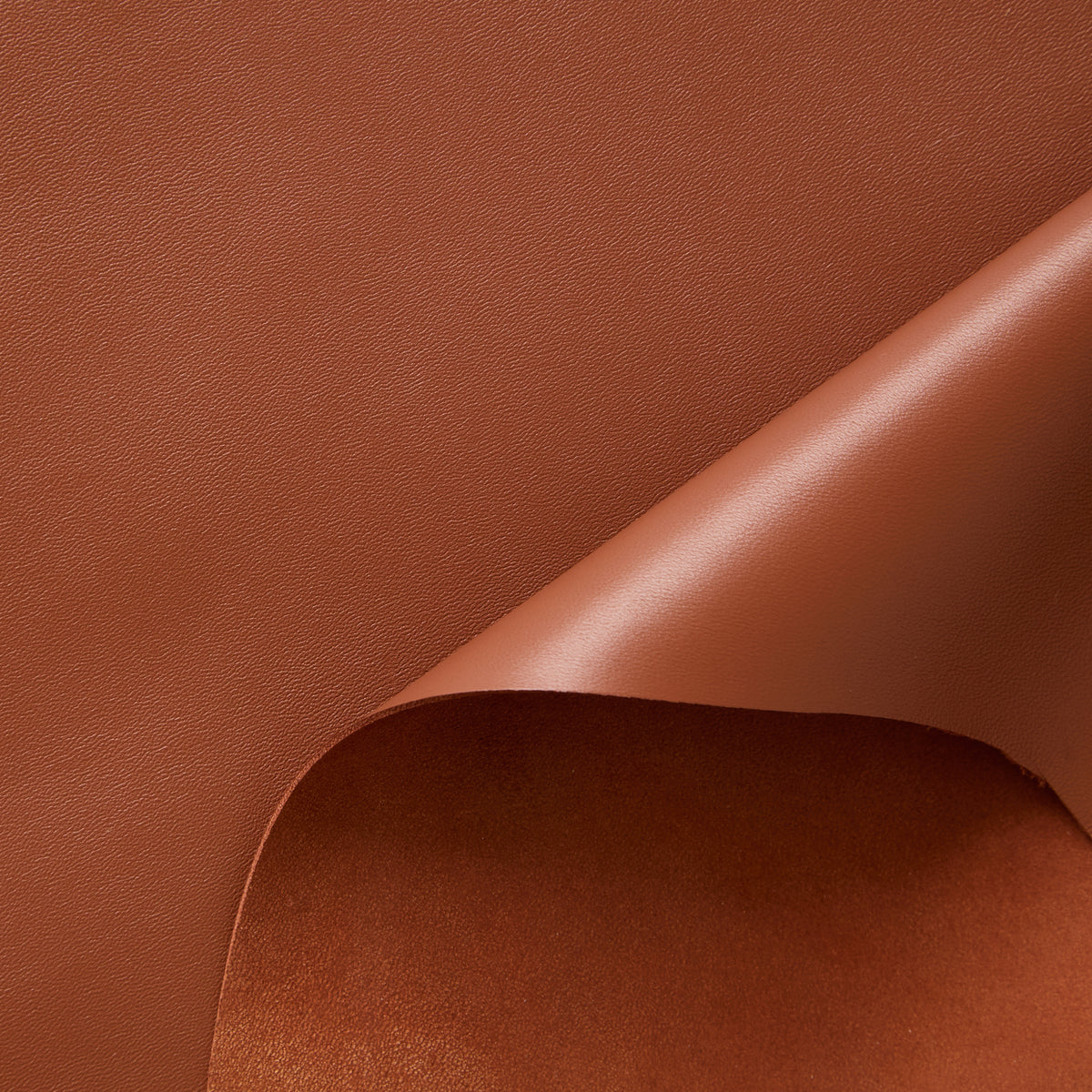 C24A00255 | Agneau Pleine Fleur Satiné Souple