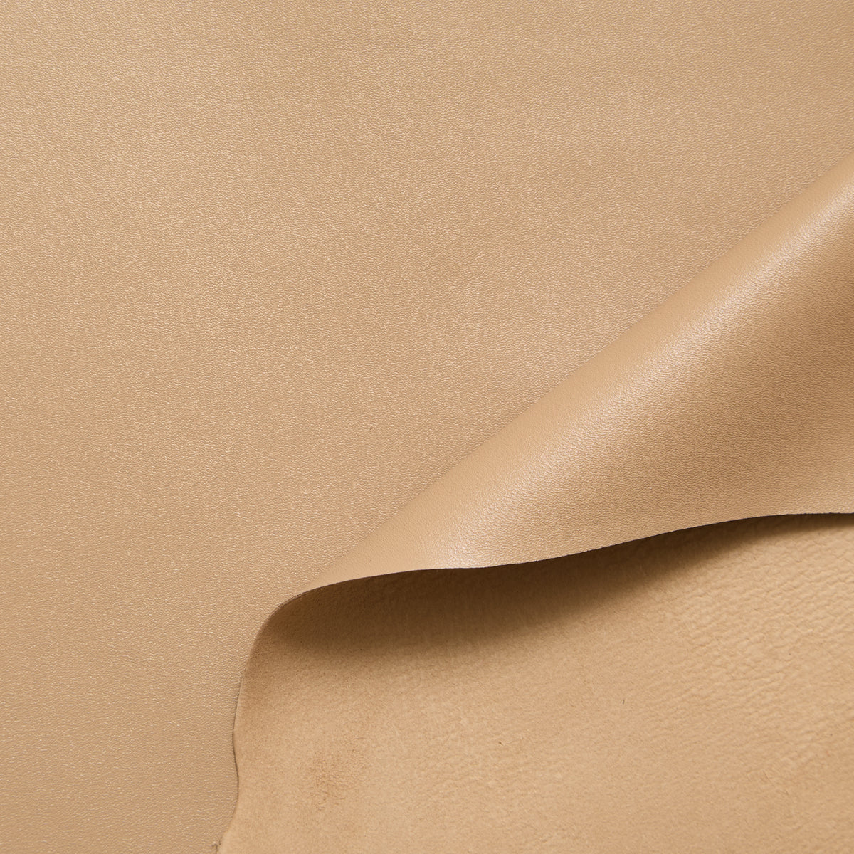 C24A00256 | Agneau Pleine Fleur Satiné Souple