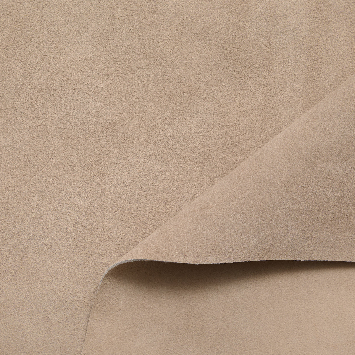 C24A00257 | Veau Suédé