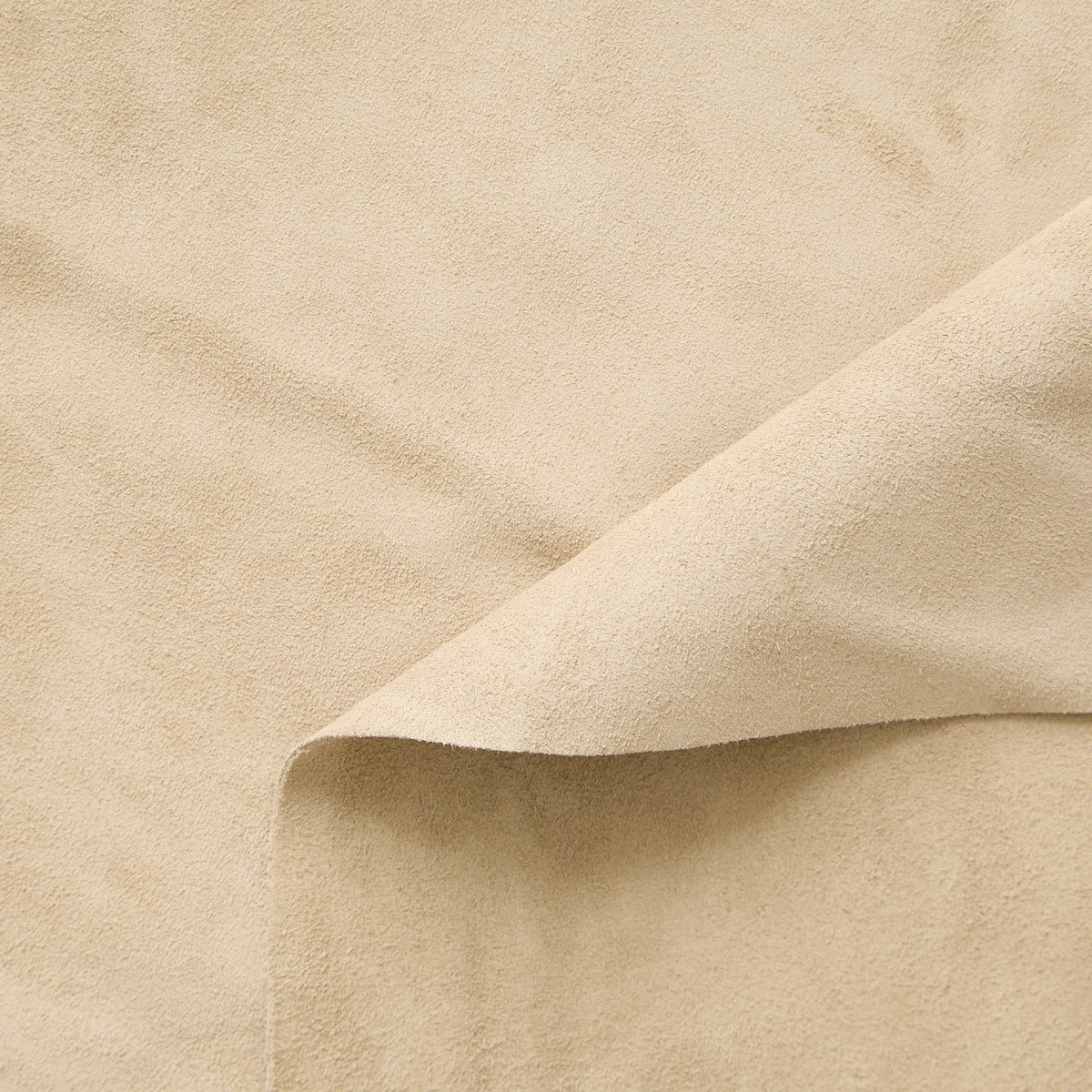 C24A00257 | Veau Suédé