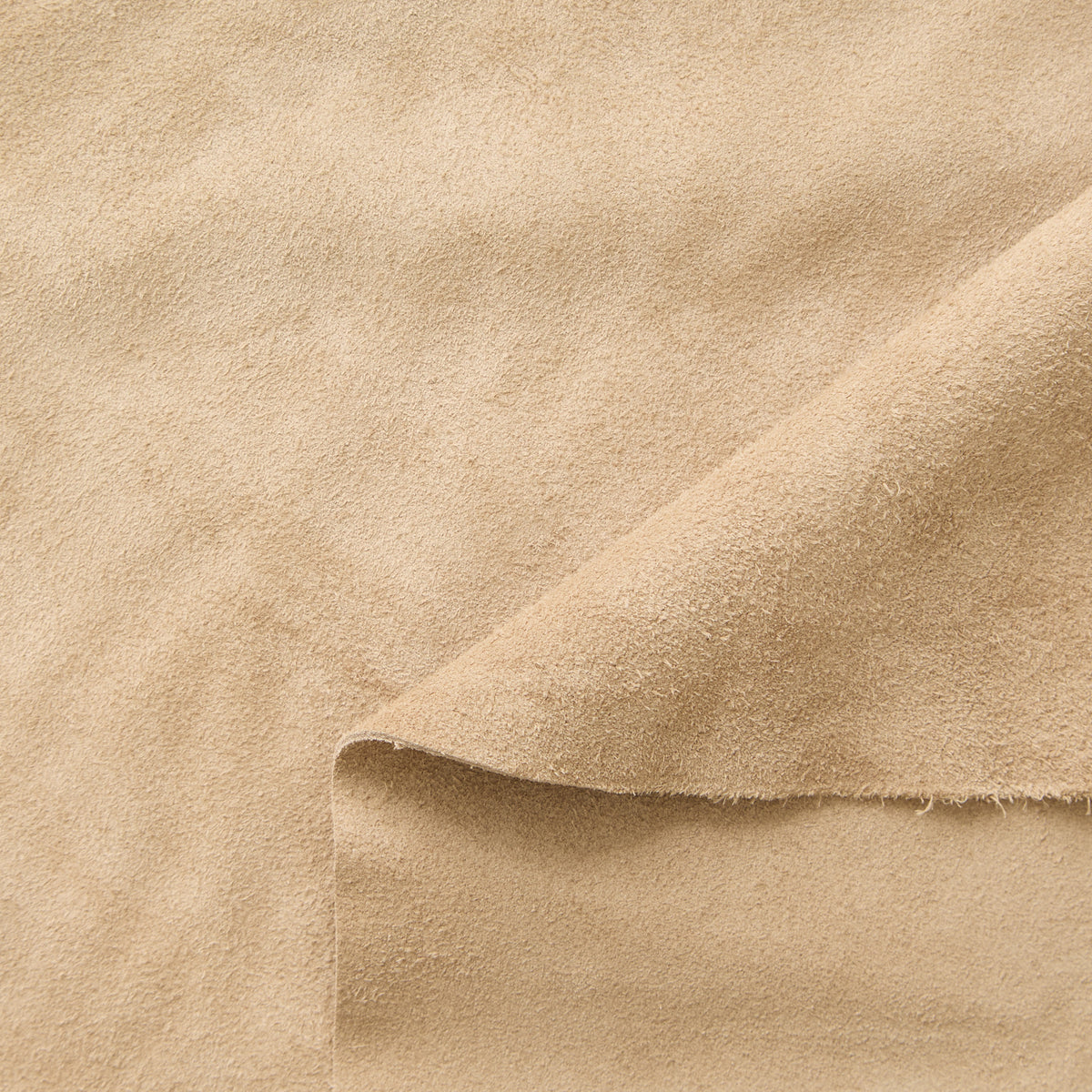 C24A00257 | Veau Suédé