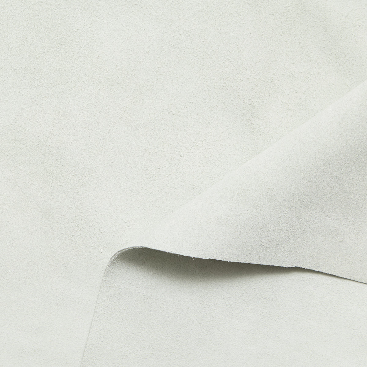 C24A00257 | Veau Suédé