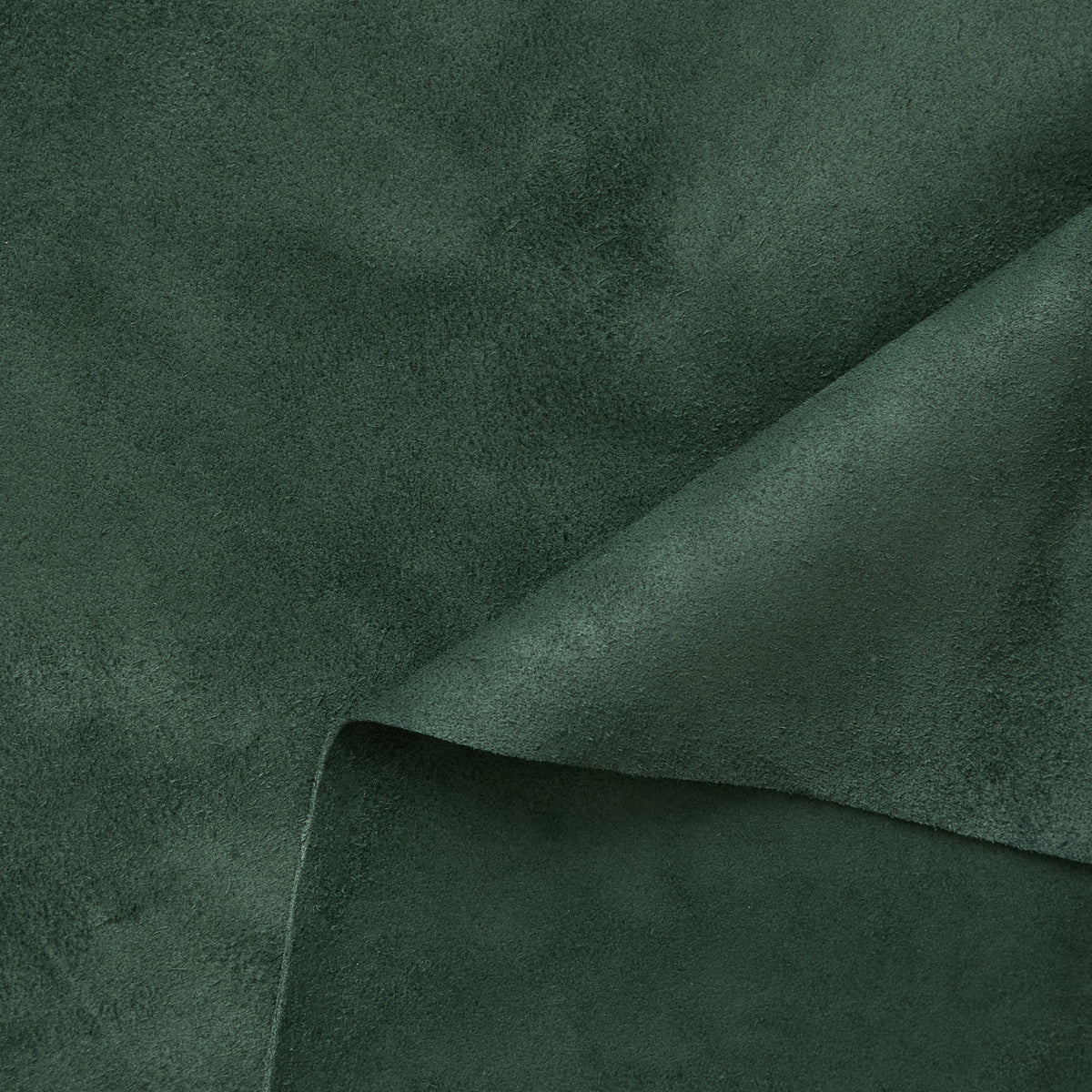 C24A00257 | Veau Suédé