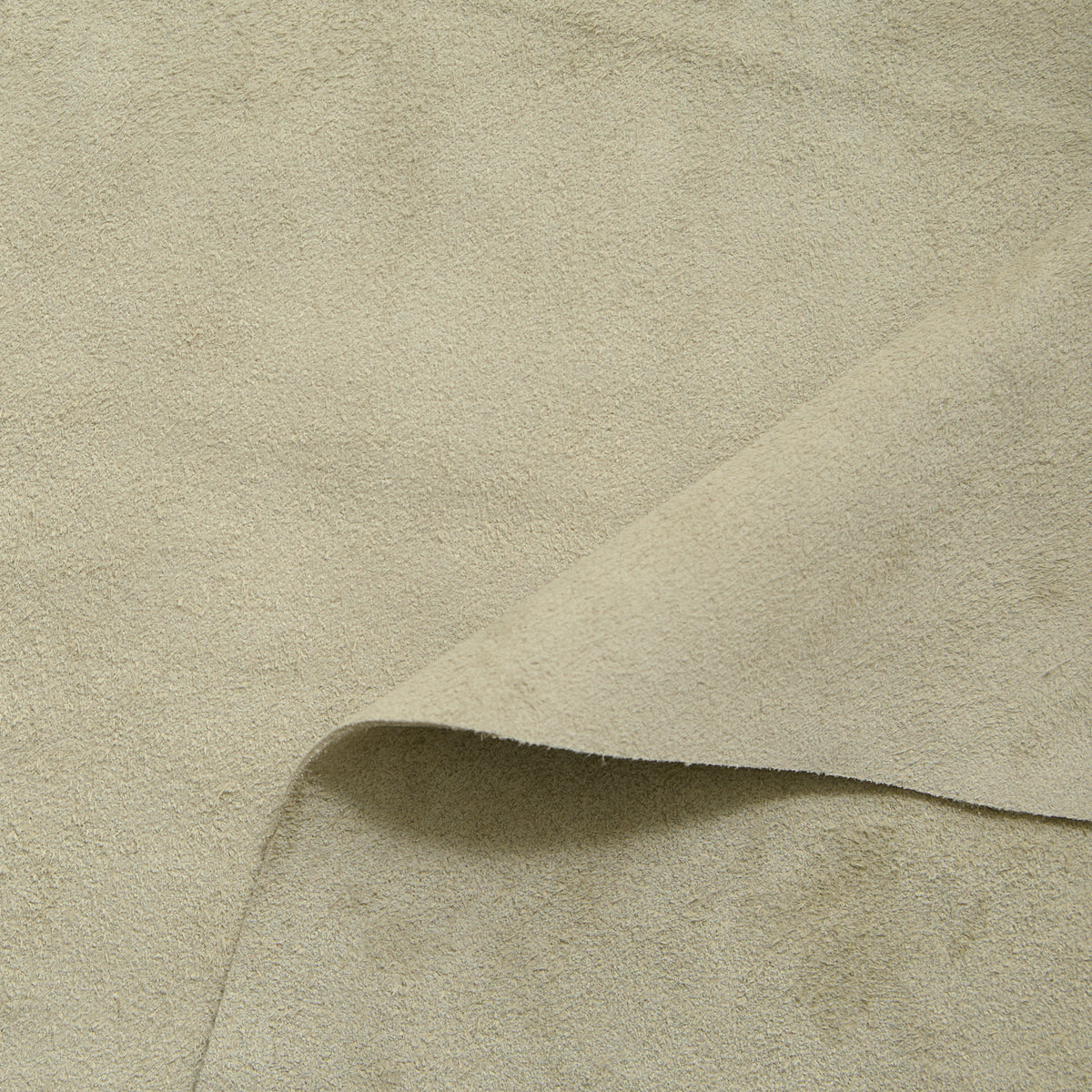 C24A00259 | Veau Suédé