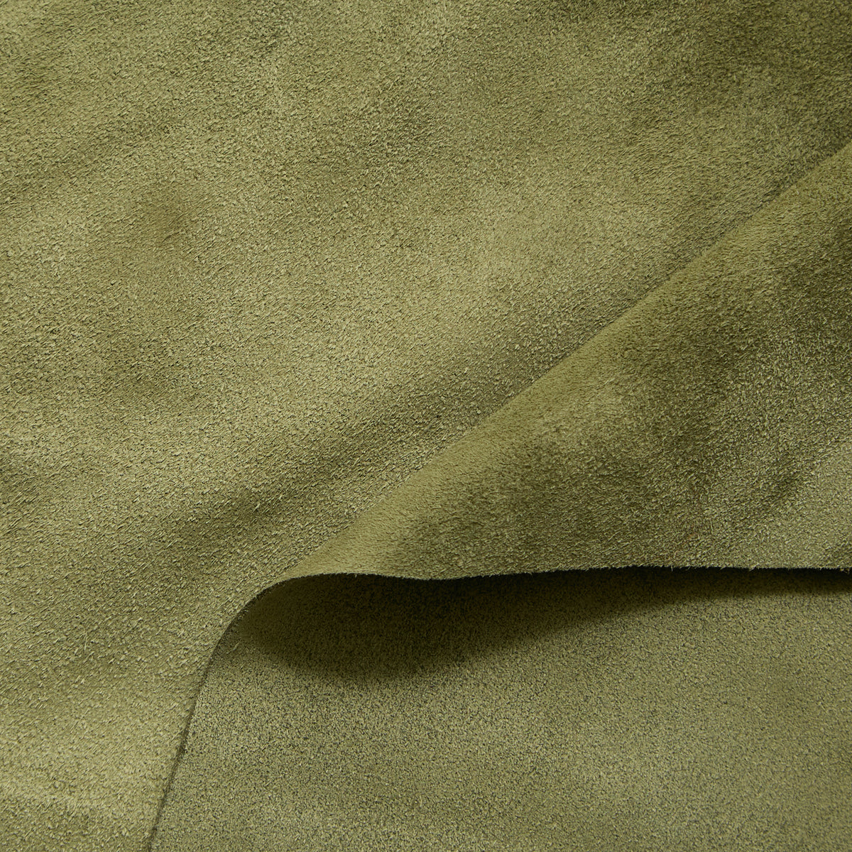 C24A00259 | Veau Suédé