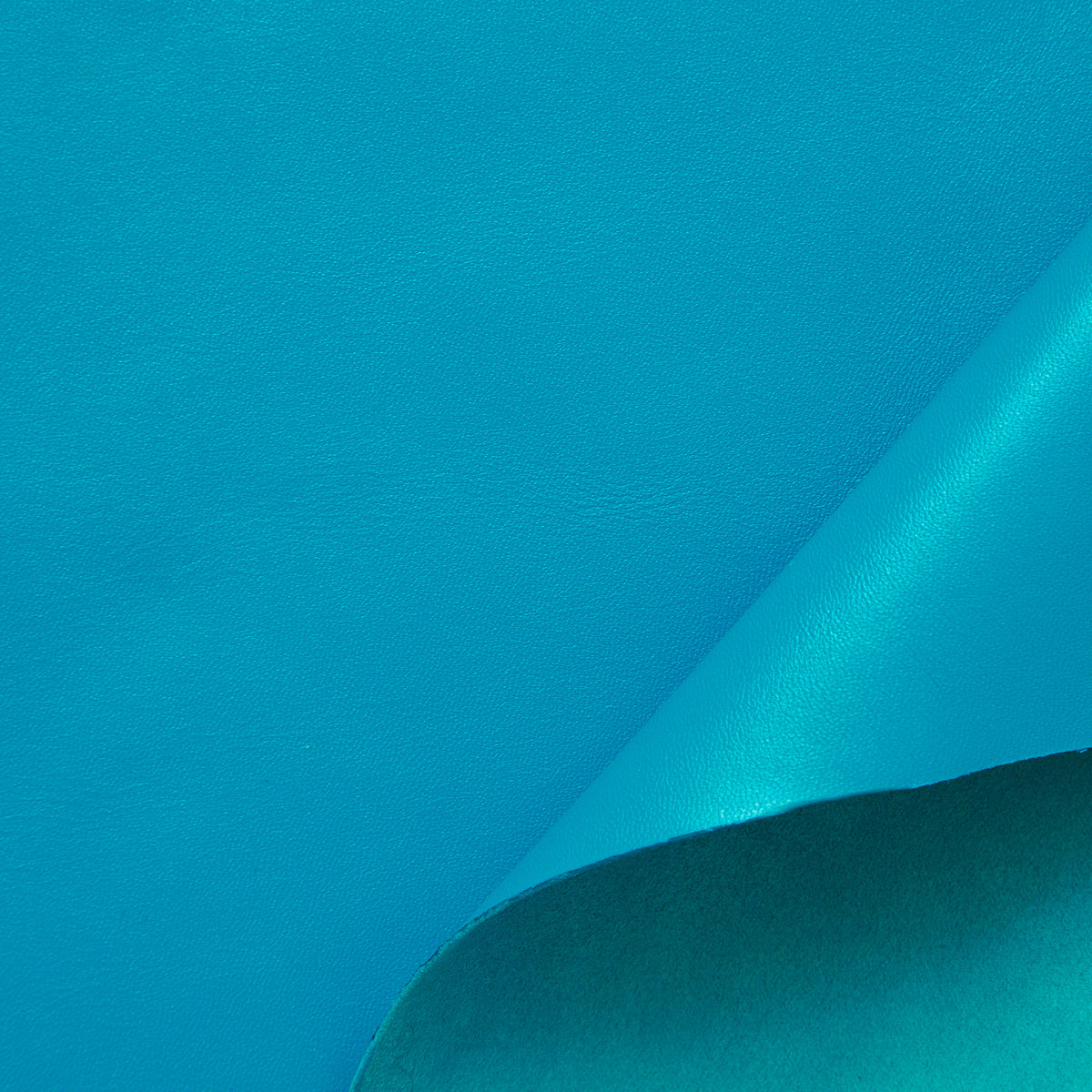 C24BL0012 | Agneau Satiné Pleine Fleur