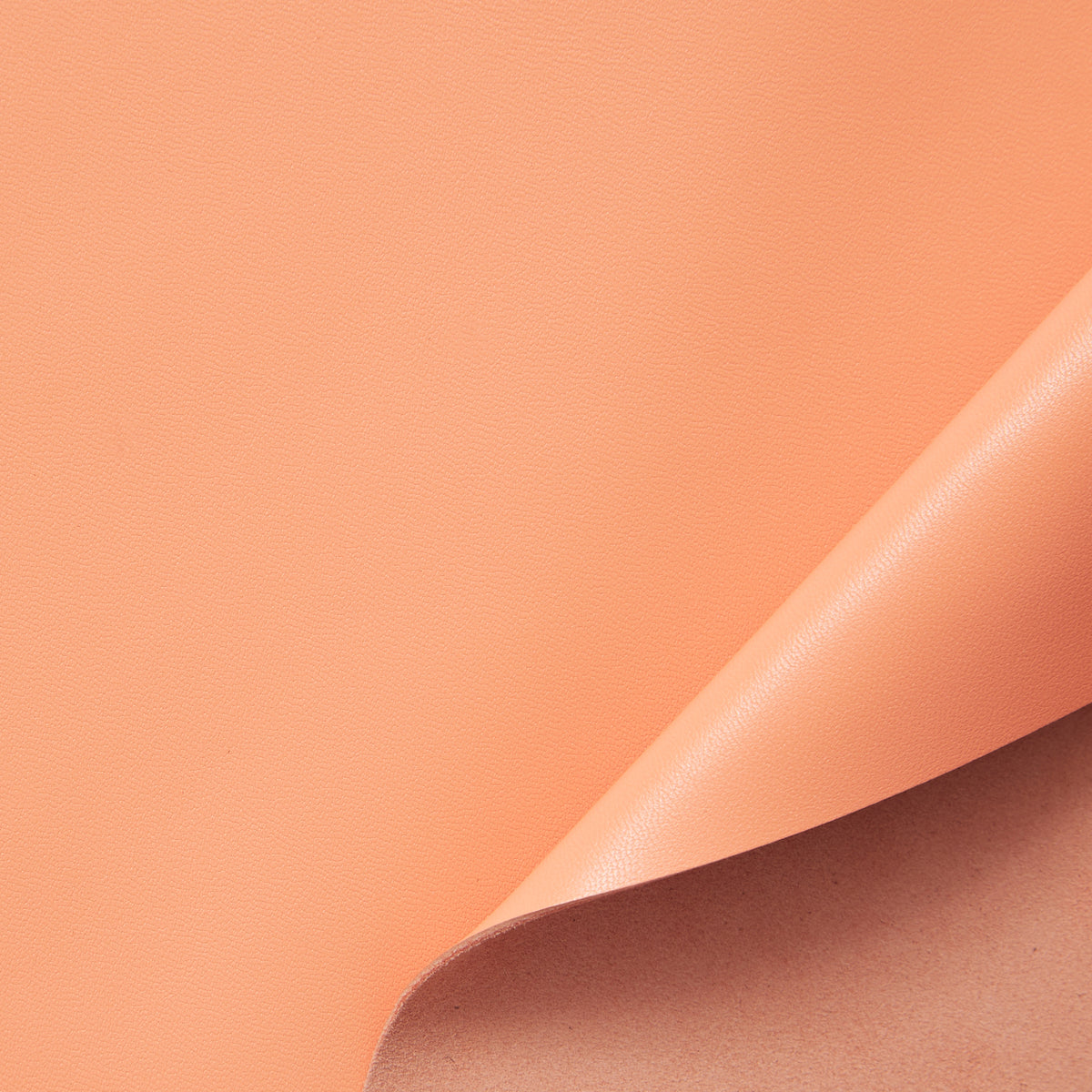 C24BL0012 | Agneau Satiné Pleine Fleur