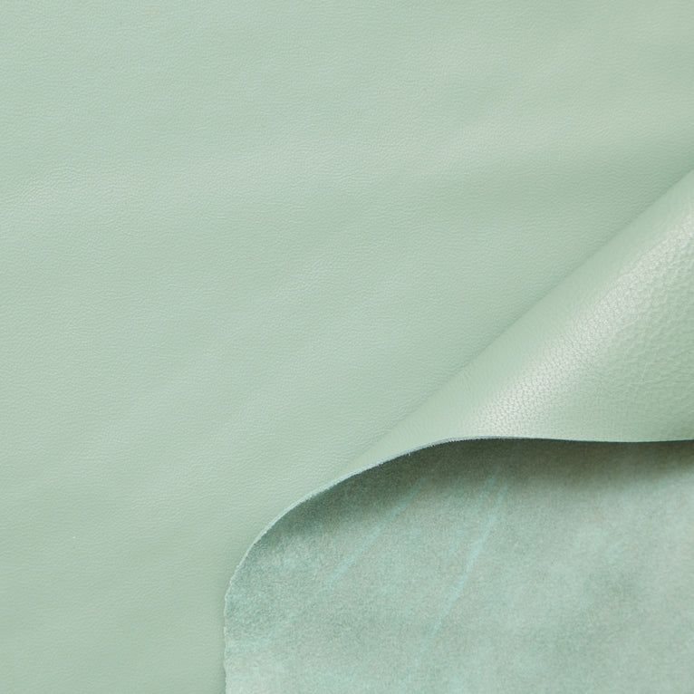 C24CL0165 | Agneau Nappa Pleine Fleur - vue 5