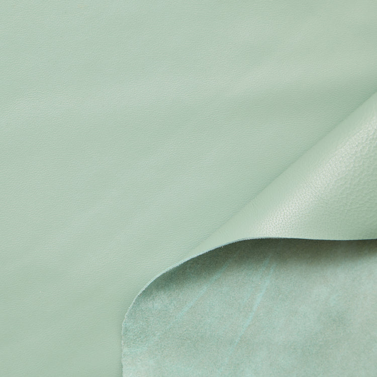 C24CL0165 | Agneau Nappa Pleine Fleur - vue 1