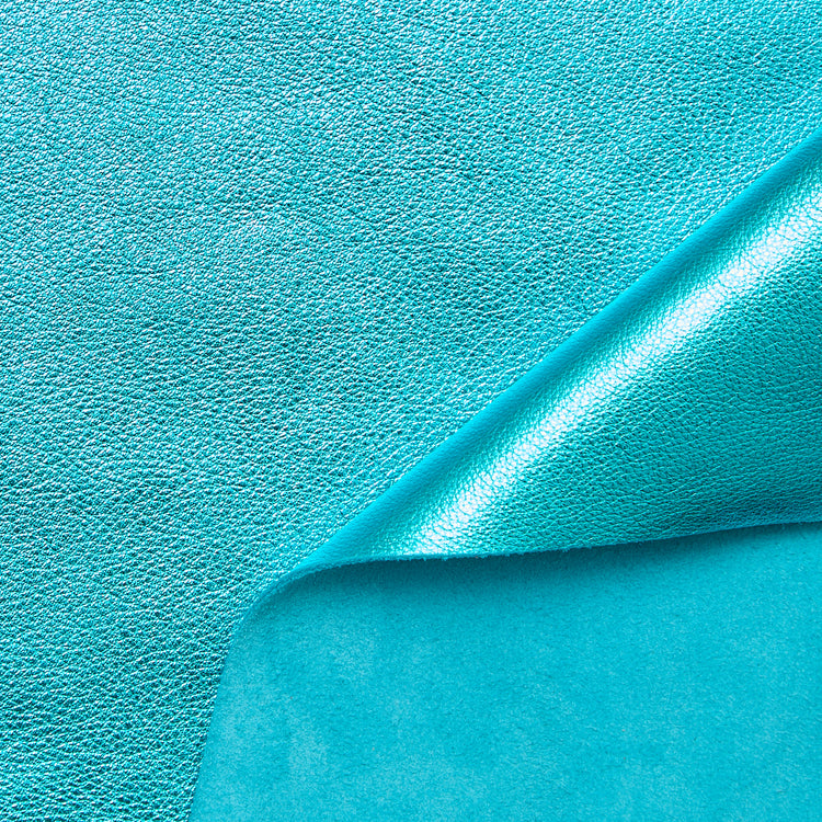 C24CV0229 | Supple Lamé Calf - view 1