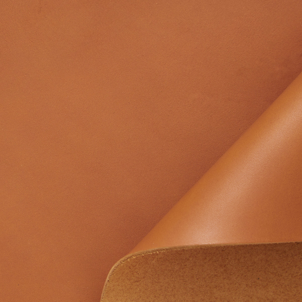 C24DC0006 | Vachette Rigide Pleine Fleur Tannage Végétal