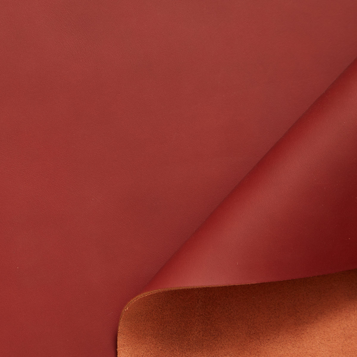 C24DC0006 | Vachette Rigide Pleine Fleur Tannage Végétal