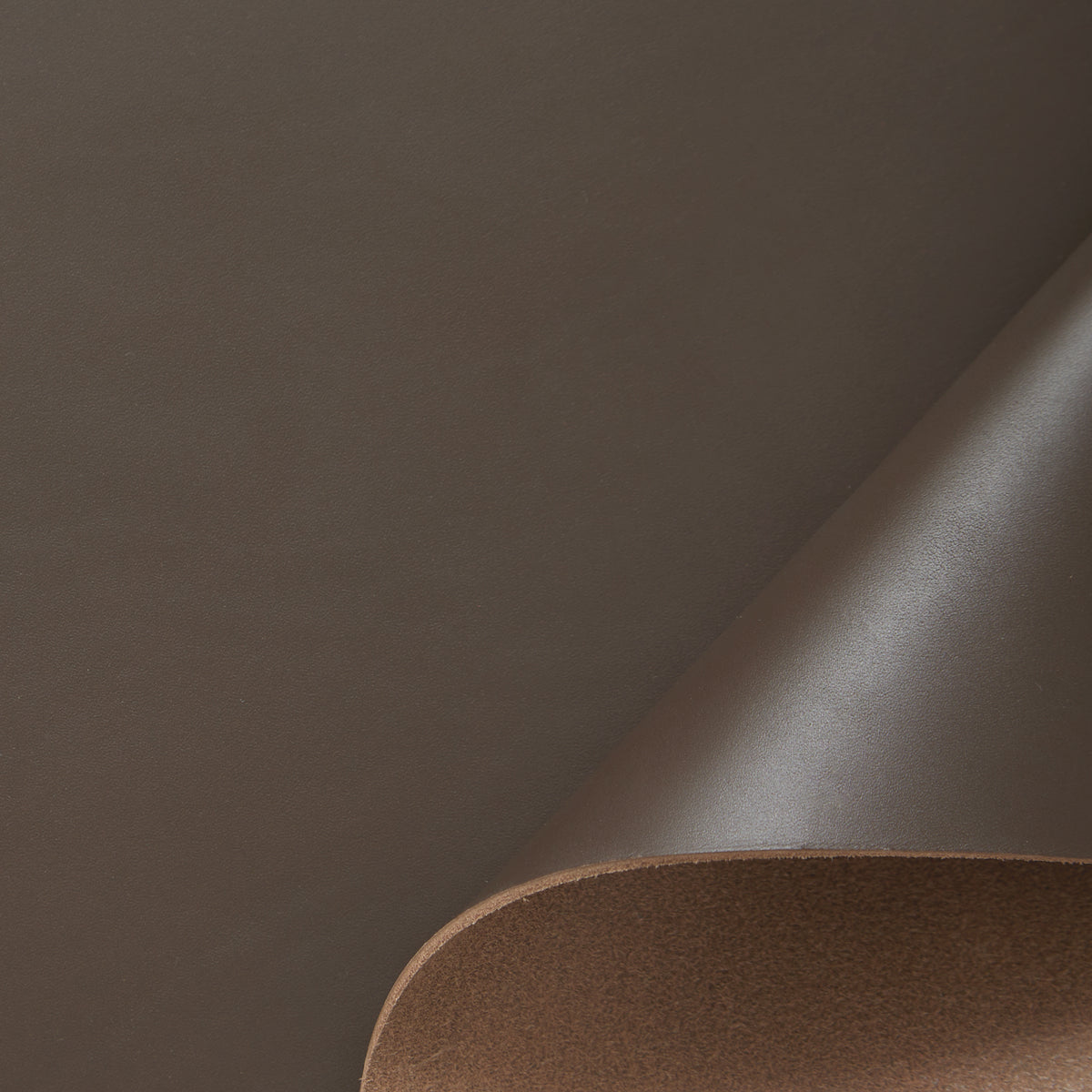 C24DC0006 | Vachette Rigide Pleine Fleur Tannage Végétal