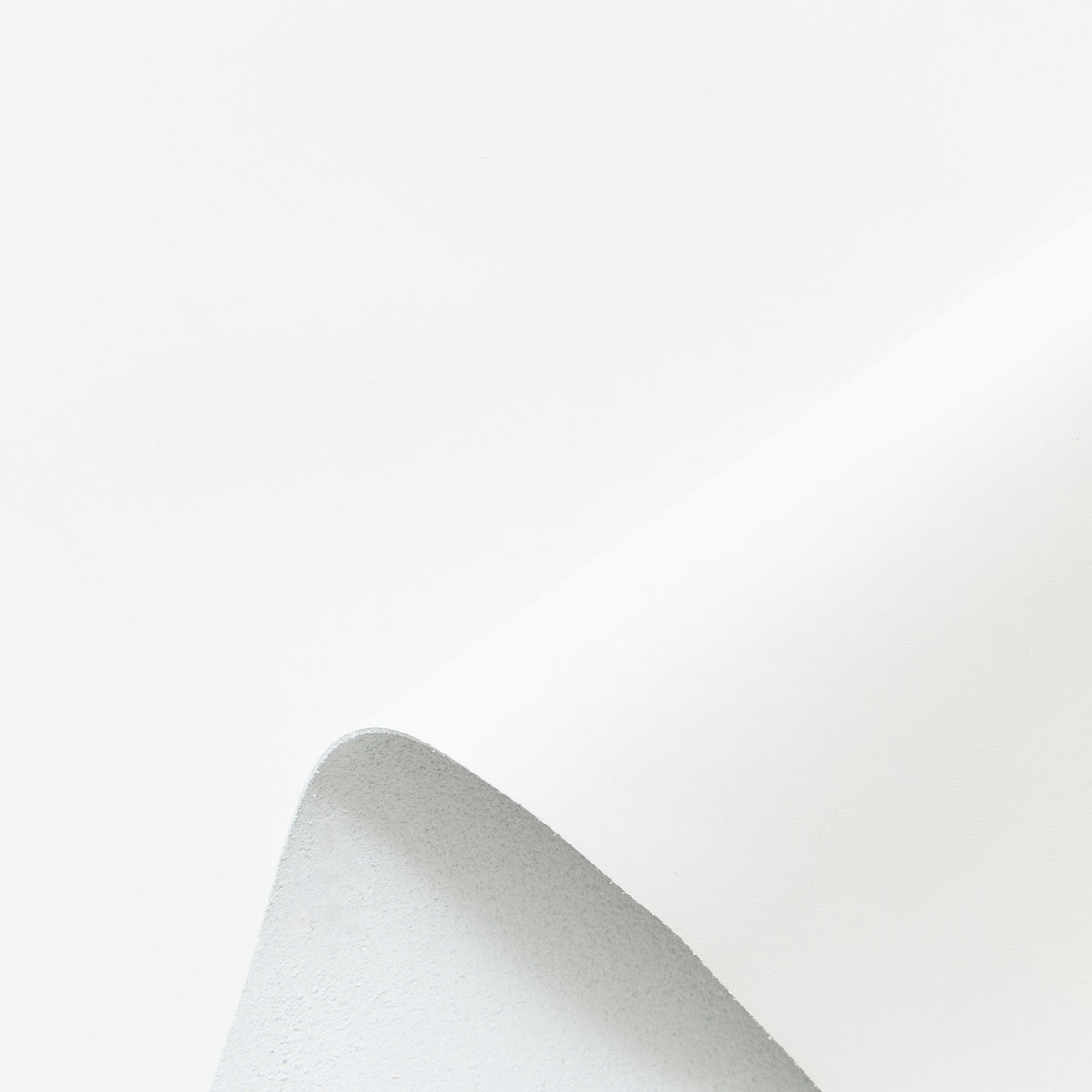 C25J00325 | Veau Nappa Pleine Fleur Mat Rigide