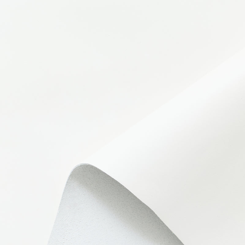 C25J00325 | Veau Nappa Pleine Fleur Mat Rigide