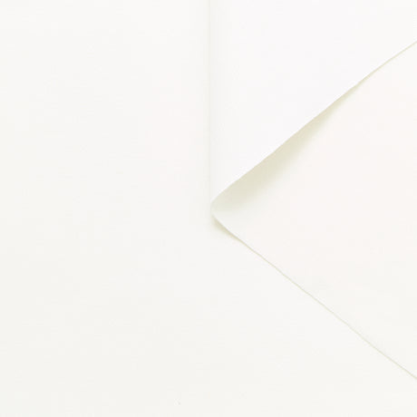 R25P13614 | Gabardine de Coton Weturn