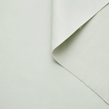 T22A01833 | WR Chintzed Linen & Acetate Canvas