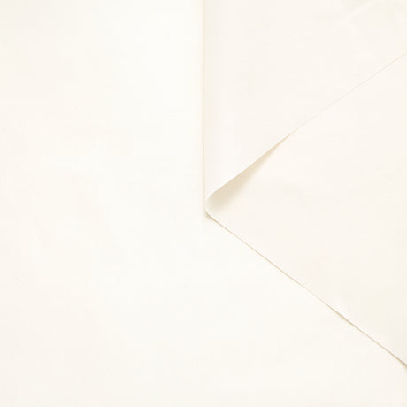 T22A01727 | Taffetas Lavé