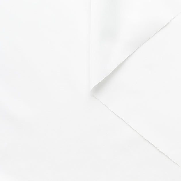 t22a01873 | Popeline de Coton