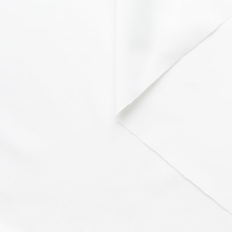 T22A01873 | Cotton Poplin - view 1