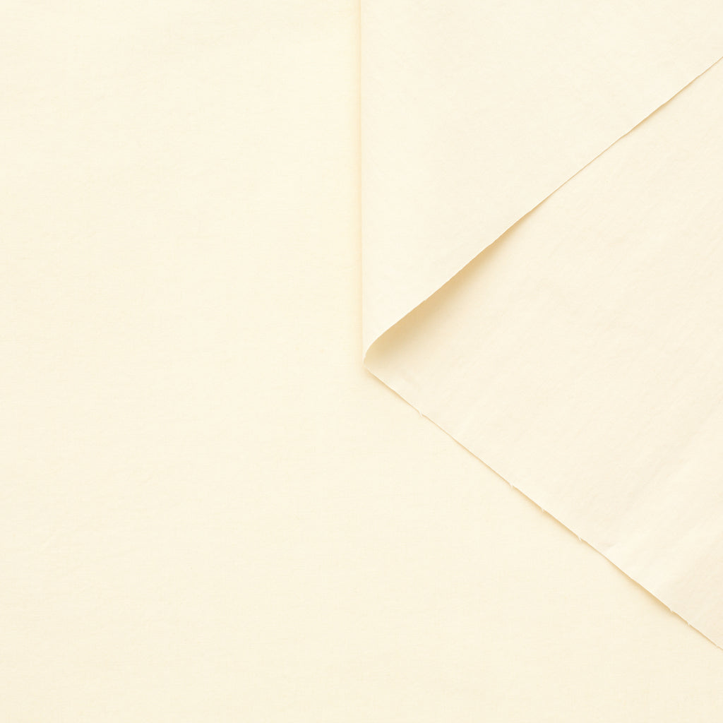 t22a01908 | Popeline de Coton Craquante Technique