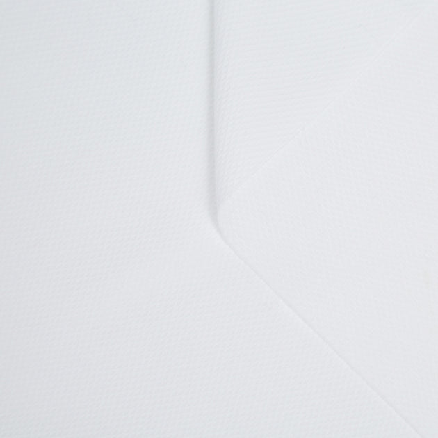 t22a01921 | Nid D'abeille de Coton