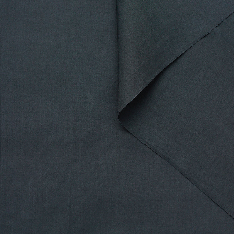 T22A01923 | Lustre Silk Pongee - view 1