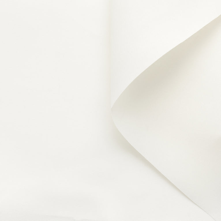 t22a01966 | Triple Organza - vue 1