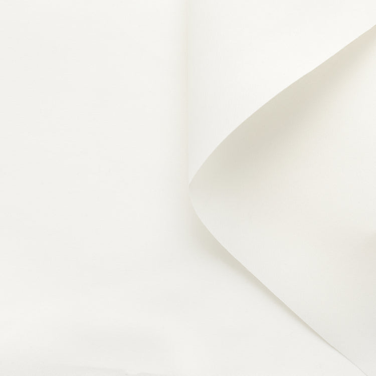 t22a01966 | Triple Organza - vue 1