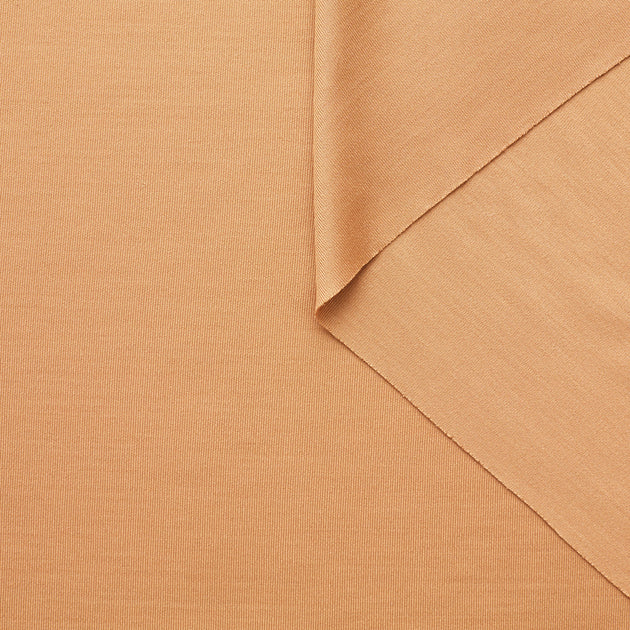 T22A01993 | Shiny Stretch Silk Jersey