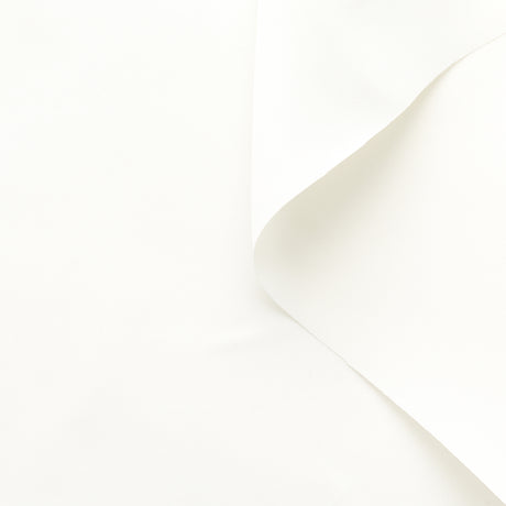 T22A02012 | Viscose & Silk Twill