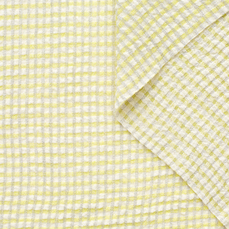 T22A02078 | Sheer Cotton Gingham Seersucker