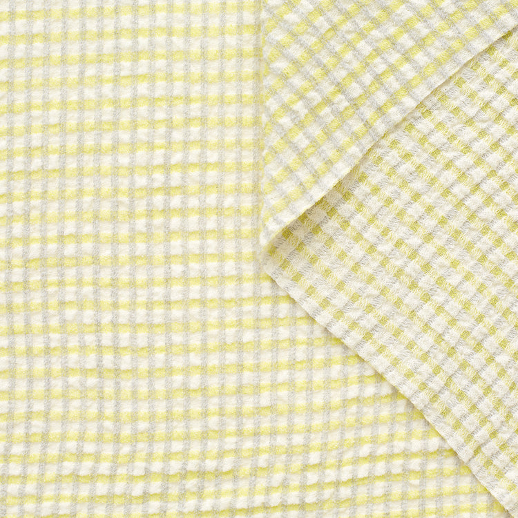 T22A02078 | Sheer Cotton Gingham Seersucker - view 1