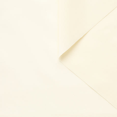 t22a02103 | Popeline Transparente