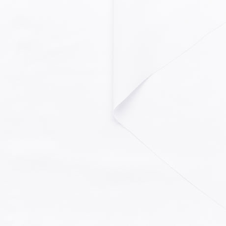 t22a02138 | Viscose Lustrée