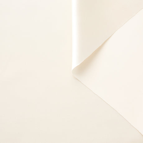 t22a02142 | Crêpe Envers Satin