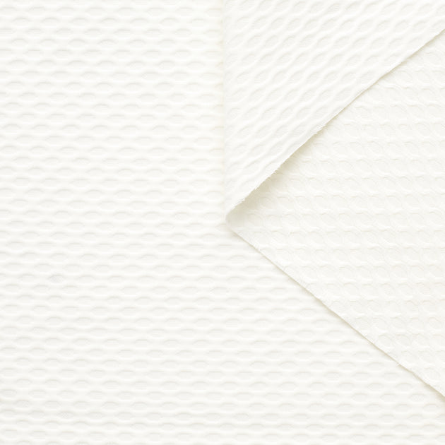 t22a02169 | Nid D'abeille de Coton