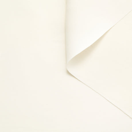 T22A02215 | Crêpe de Viscose Double Face