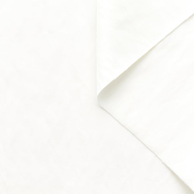 T22A02238 | WR Technical Compact Canvas