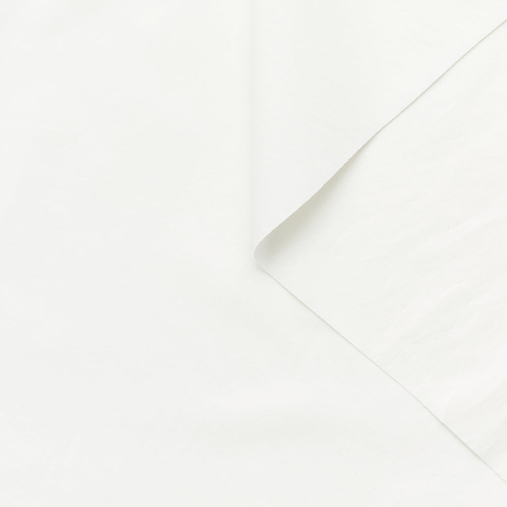 t22a02294 | Popeline