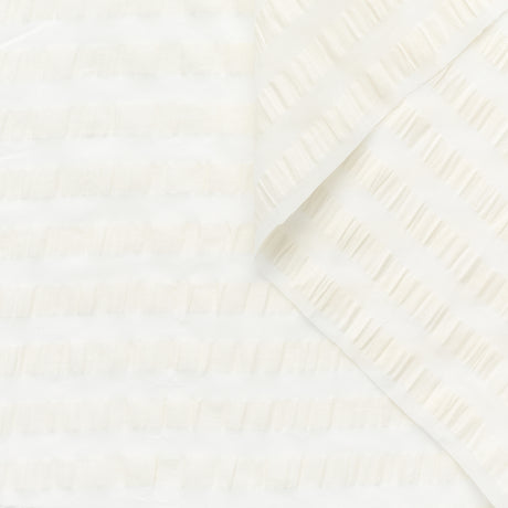 T22A02296 | Striped Organza Seersucker