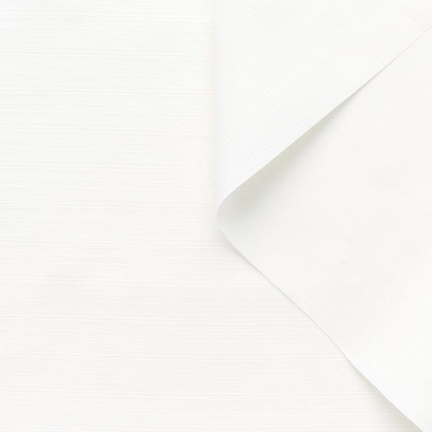 T22A02319 | Textured Stripes Canvas