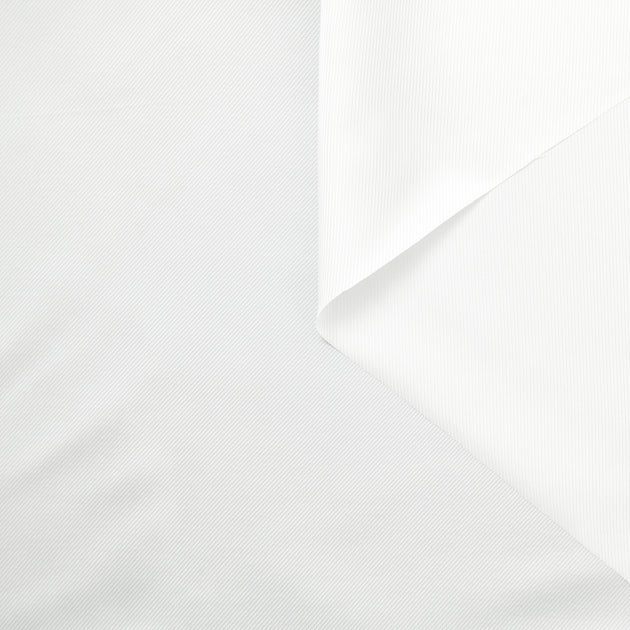 T22A02324 | Shiny Viscose Twill Lining