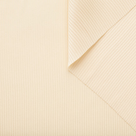 T22A02421 | Textured Stripe Crepe Silk