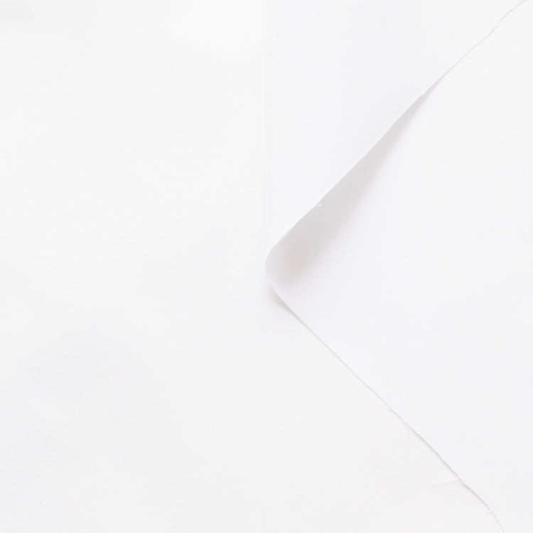 T22A02549 | Satin Cotton Poplin - view 1