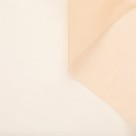 t22a02603 | Organza de Soie Sec