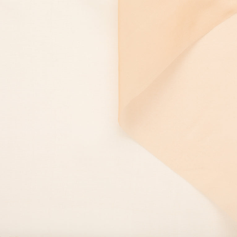 t22a02603 | Organza de Soie Sec - vue 1