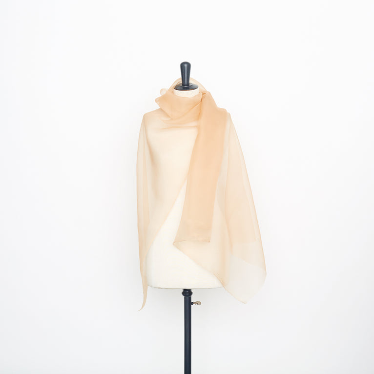 t22a02603 | Organza de Soie Sec - vue 2