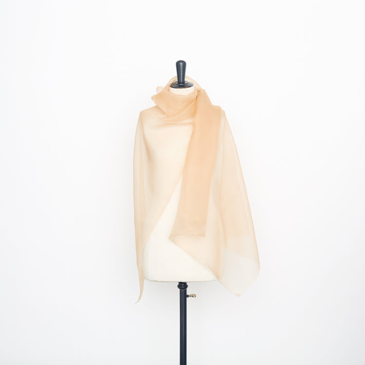 t22a02603 | Organza de Soie Sec - vue 2